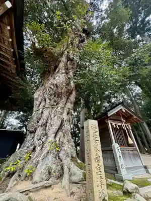 大宮賣神社(京都府)