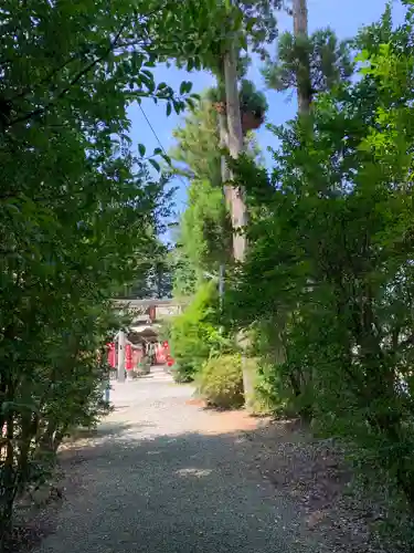男山八幡神社の自然