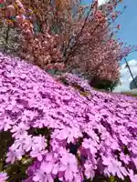 厚別神社(北海道)