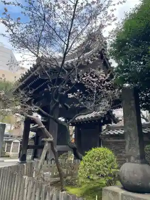 吉祥寺(東京都)