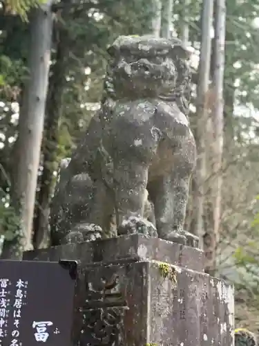 北口本宮冨士浅間神社の狛犬