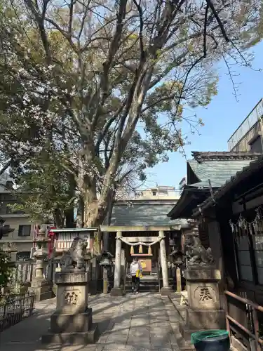 浅間神社（那古野浅間神社）の{uncategorized: "未分類", other: "その他", undefined: "問題あり", building: "その他建物", grave: "お墓", sacred_gate: "鳥居", guardian: "狛犬", statue: "像", buddha: "仏像", history: "歴史", nature: "自然", garden: "庭園", animal: "動物", pagoda: "塔", temizu: "手水舎", mountain_gate: "山門・神門", sanctuary: "本殿・本堂", subordinate: "末社・摂社", art: "芸術", scenery: "景色", jizo: "地蔵", ema: "絵馬", goshuin: "御朱印", omikuji: "おみくじ", items: "授与品その他", amulet: "お守り", goshuincho: "御朱印帳", eats: "食事", festival: "お祭り", votive_dance: "神楽", shichigosan: "七五三参", wedding: "結婚式", experience: "体験その他", initially: "初詣", around: "周辺", anti_infection: "感染症対策"}
