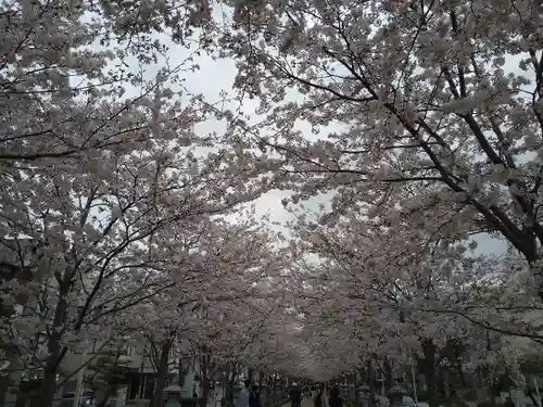 鶴岡八幡宮の自然