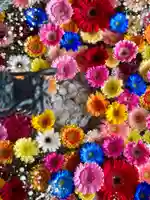 札幌諏訪神社の手水舎