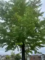 栗木御嶽神社(神奈川県)