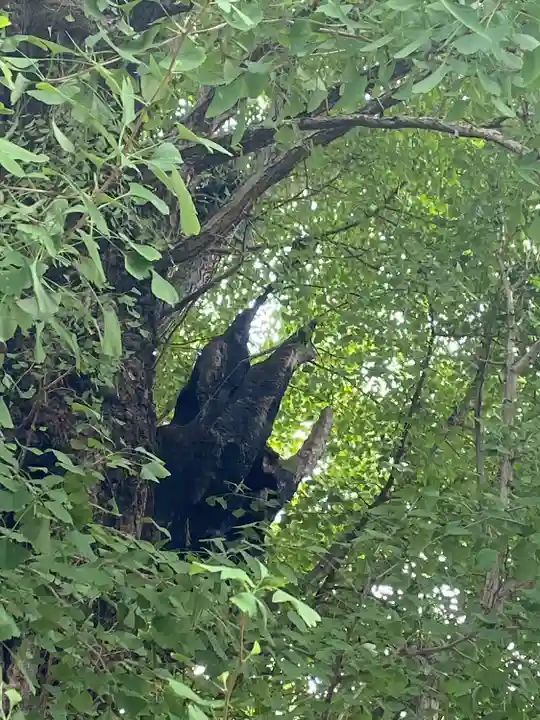 飛木稲荷神社(東京都)