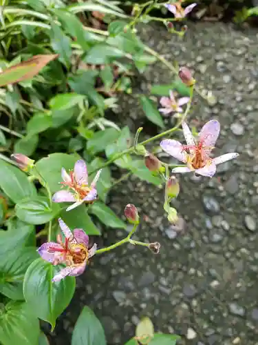稲荷神社(東京都)