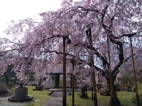 大聖院(京都府)