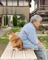 秩父札所十三番 慈眼寺(埼玉県)