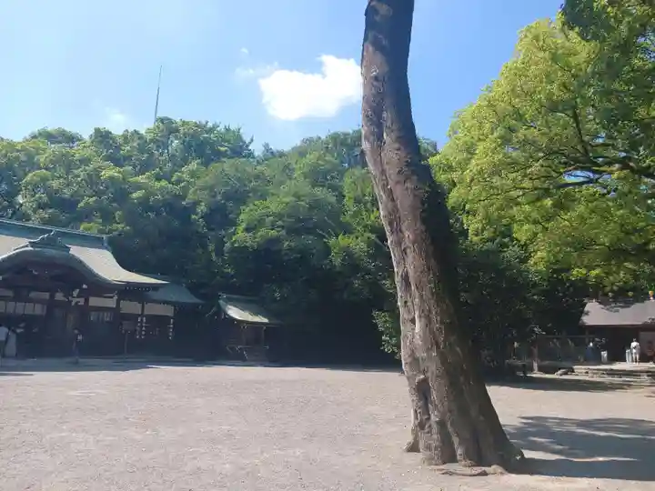 上知我麻神社(熱田神宮摂社)(愛知県)