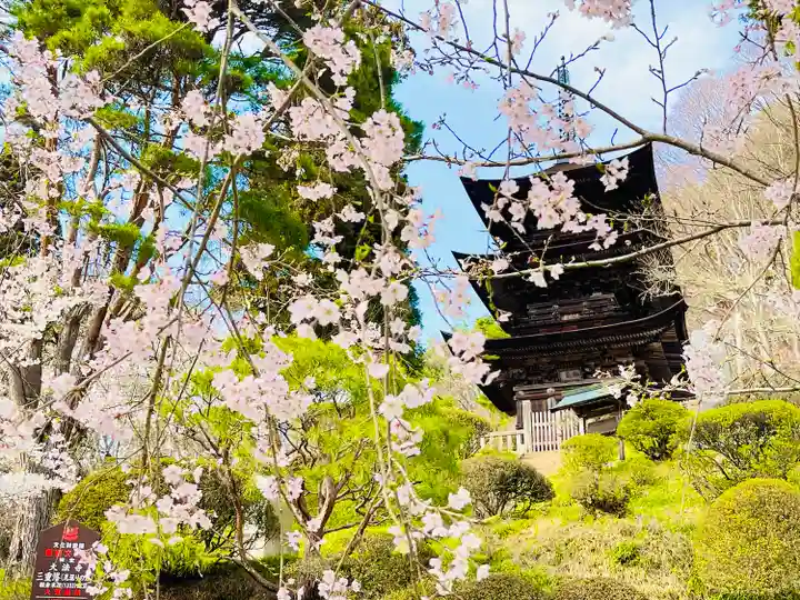 国宝 大法寺(長野県)