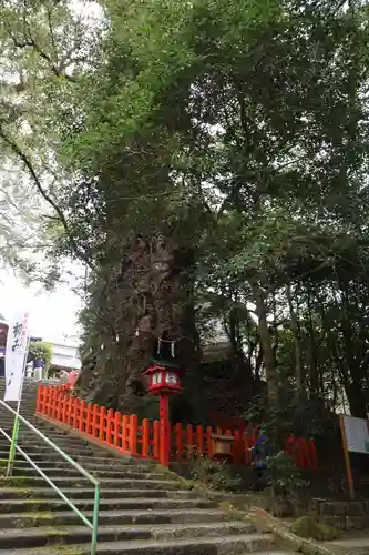 新田神社(鹿児島県)