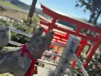 高屋敷稲荷神社の{uncategorized: "未分類", other: "その他", undefined: "問題あり", building: "その他建物", grave: "お墓", sacred_gate: "鳥居", guardian: "狛犬", statue: "像", buddha: "仏像", history: "歴史", nature: "自然", garden: "庭園", animal: "動物", pagoda: "塔", temizu: "手水舎", mountain_gate: "山門・神門", sanctuary: "本殿・本堂", subordinate: "末社・摂社", art: "芸術", scenery: "景色", jizo: "地蔵", ema: "絵馬", goshuin: "御朱印", omikuji: "おみくじ", items: "授与品その他", amulet: "お守り", goshuincho: "御朱印帳", eats: "食事", festival: "お祭り", votive_dance: "神楽", shichigosan: "七五三参", wedding: "結婚式", experience: "体験その他", initially: "初詣", around: "周辺", anti_infection: "感染症対策"}