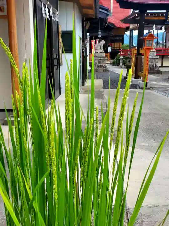 大鏑神社(福島県)