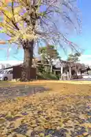 頂妙寺(京都府)