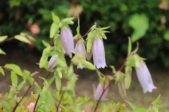 大鏑神社の庭園