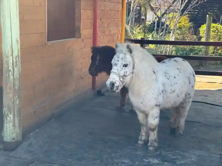 五方山熊野神社(東京都)