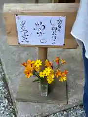 須山浅間神社(静岡県)