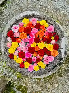 丹生都比売神社(和歌山県)(2023年05月24日(水) 10時24分22秒投稿)