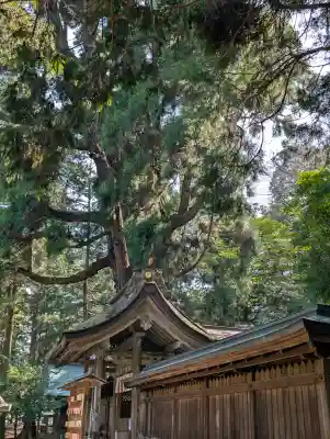 若狭姫神社（若狭彦神社下社）の{uncategorized: "未分類", other: "その他", undefined: "問題あり", building: "その他建物", grave: "お墓", sacred_gate: "鳥居", guardian: "狛犬", statue: "像", buddha: "仏像", history: "歴史", nature: "自然", garden: "庭園", animal: "動物", pagoda: "塔", temizu: "手水舎", mountain_gate: "山門・神門", sanctuary: "本殿・本堂", subordinate: "末社・摂社", art: "芸術", scenery: "景色", jizo: "地蔵", ema: "絵馬", goshuin: "御朱印", omikuji: "おみくじ", items: "授与品その他", amulet: "お守り", goshuincho: "御朱印帳", eats: "食事", festival: "お祭り", votive_dance: "神楽", shichigosan: "七五三参", wedding: "結婚式", experience: "体験その他", initially: "初詣", around: "周辺", anti_infection: "感染症対策"}