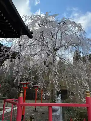 東光院(千葉県)