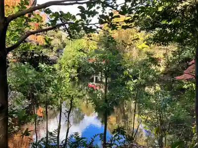 武蔵一宮氷川神社(埼玉県)