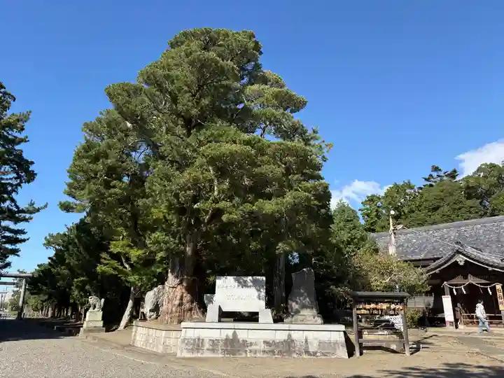 鶴谷八幡宮(千葉県)