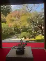 光明寺(粟生光明寺)(京都府)