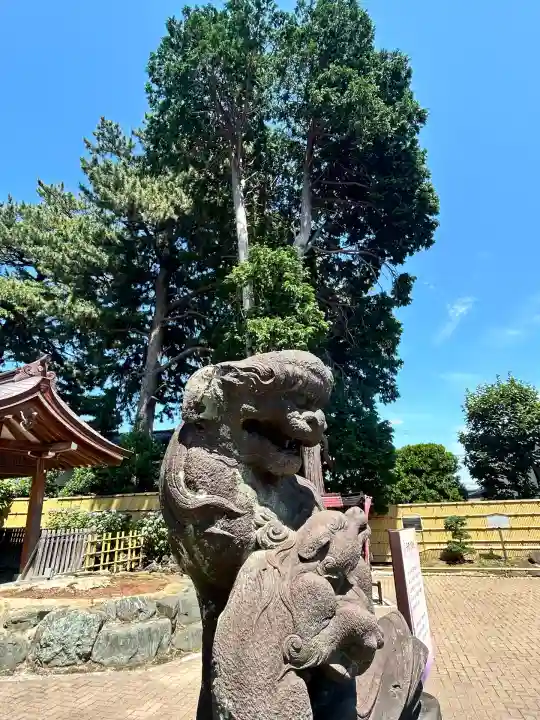 中野沼袋氷川神社(東京都)