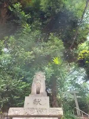 代々木八幡宮の狛犬