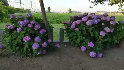 月讀神社の自然