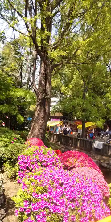 根津神社(東京都)