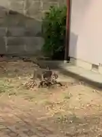 勝満山 崇彦寺(愛知県)