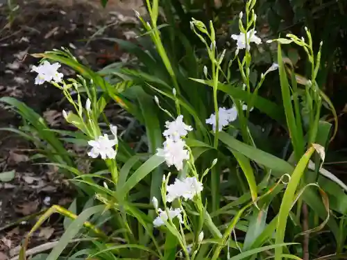 清水観音堂の自然