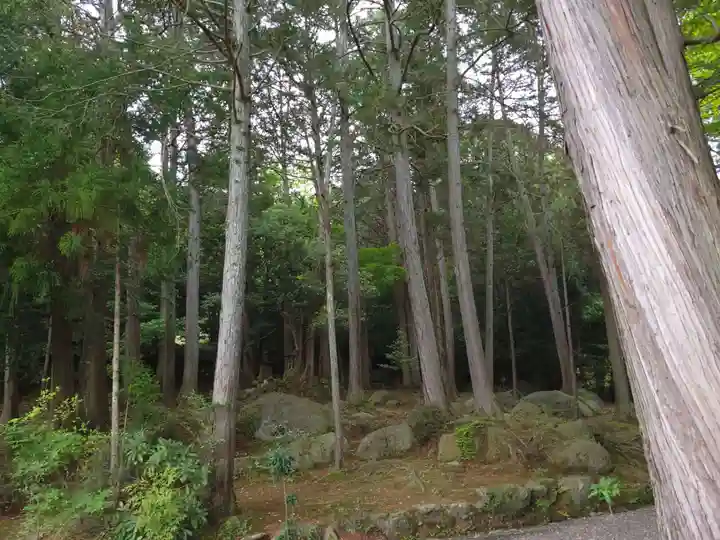 龍潭寺(京都府)