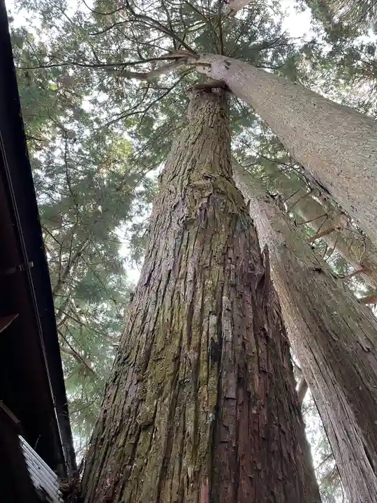 清高稲荷社(和歌山県)