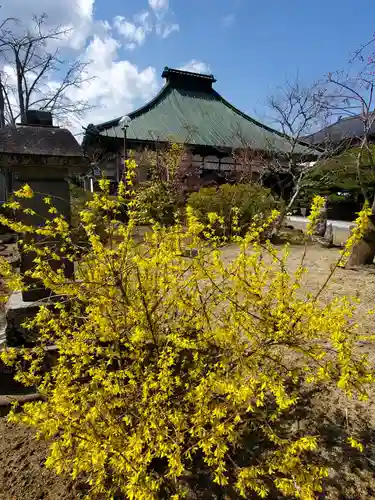 円通寺(福島県)