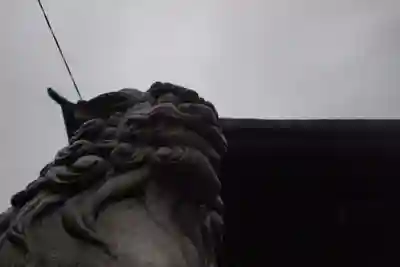 穴切大神社の狛犬