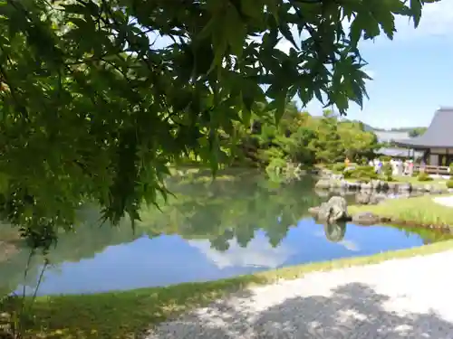 天龍寺の庭園