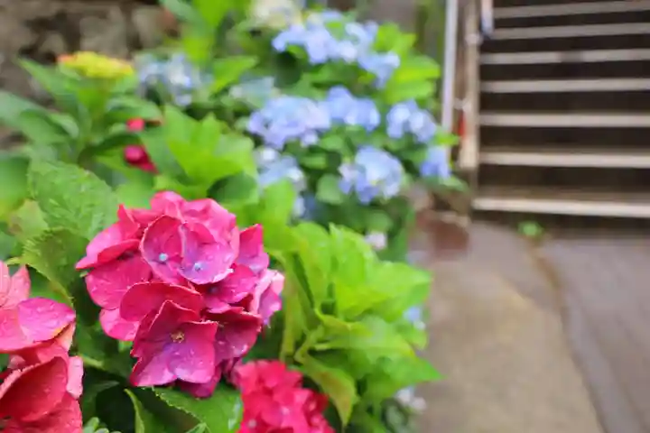 白山神社(東京都)