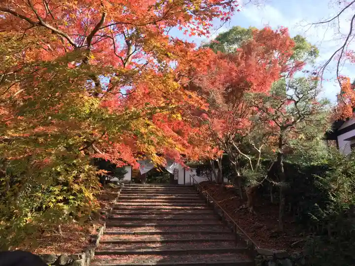 安楽寺のその他建物