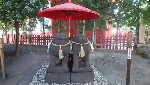 浅草神社の狛犬