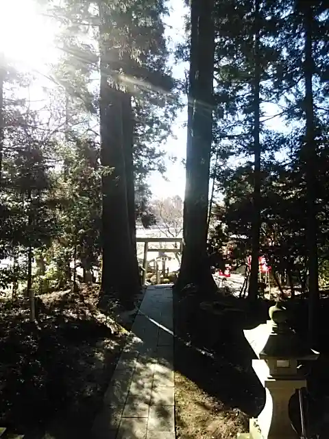 鹿島大神宮の自然