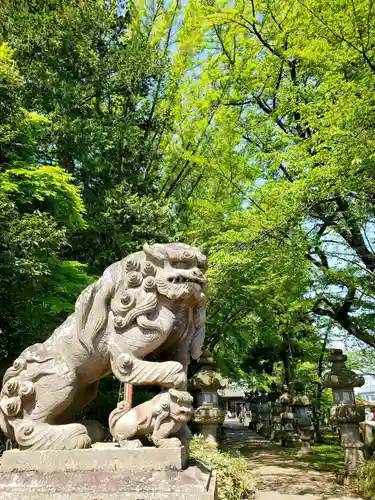 神炊館神社 ⁂奥州須賀川総鎮守⁂の狛犬