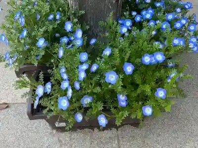 椿ノ海　水神社(千葉県)