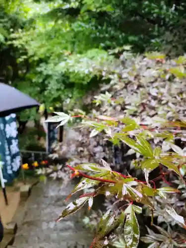 滑川神社 - 仕事と子どもの守り神の景色