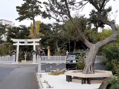 菊田神社の周辺
