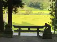 大宮温泉神社の鳥居