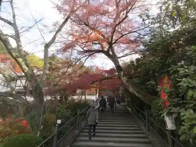 岡寺(龍蓋寺)(奈良県)