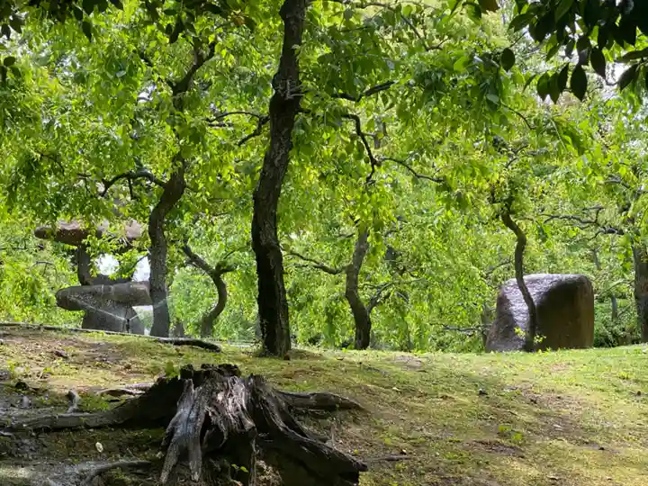 城南宮(京都府)